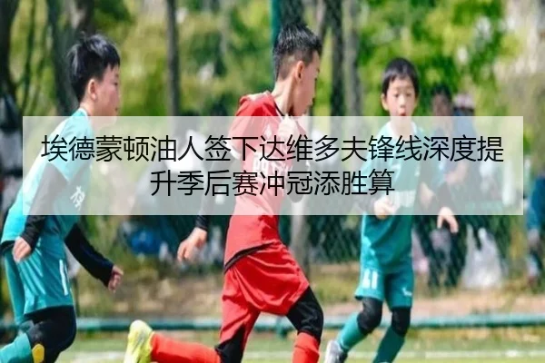 埃德蒙顿油人签下达维多夫锋线深度提升季后赛冲冠添胜算