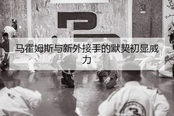 马霍姆斯与新外接手的默契初显威力